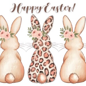 Osterhase Postkarte