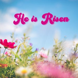Er ist Risen Postkarte