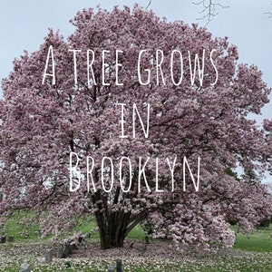 Brooklyn Postkarte - Frühling