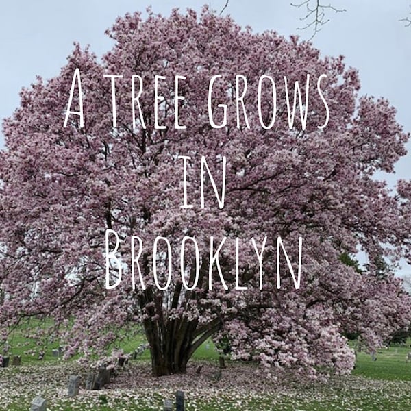 Brooklyn Postcard - Spring