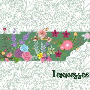 Bella cartolina del Tennessee, Saluti dalla cartolina del Tennessee. Souvenir del Tennessee, cartolina dello stato da collezione, cartolina Postcrossing