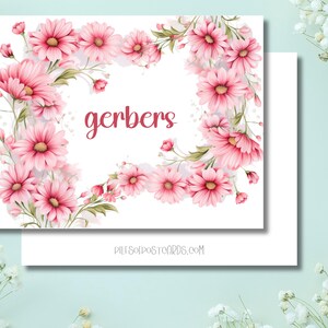Postal de margaritas Gerber