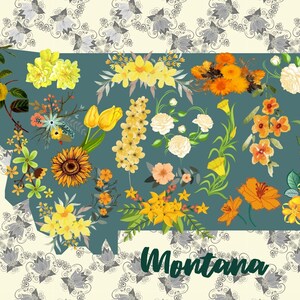 Bella cartolina del Montana, saluti dal Montana, cartolina floreale, collezione di cartoline di stato, cartolina pen pal