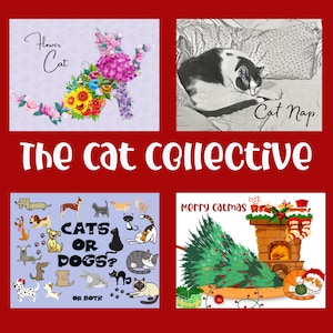 Cat Postcard Bundle, Cartes postales PostCrossing, Projet Pen Pal, Cartes postales à collectionner