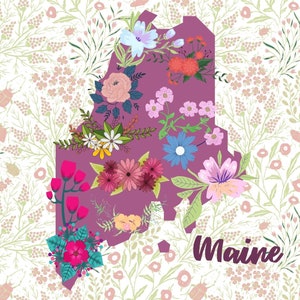 Cartão postal do Maine, cartão postal da flor do Maine, cartão postal Saudações do Maine, lembrança do Maine, cartão postal Postcrossing