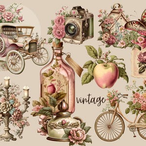 Rosa Vintage Postkarte