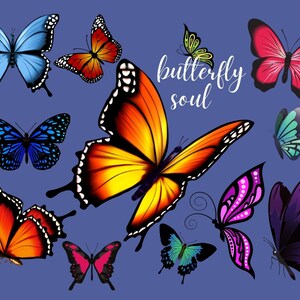 Butterfly Soul Postcard
