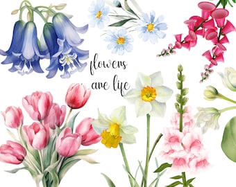 Flowers are LIfe Postcard