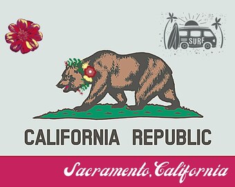 Carte postale de Californie de Sacramento, Souvenir de Californie, Salutations de Californie, Carte postale de la capitale de l’État à collectionner