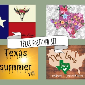 Pacchetto cartolina del Texas, set postcrossing, pacchetto pal penna, regalo texas pride