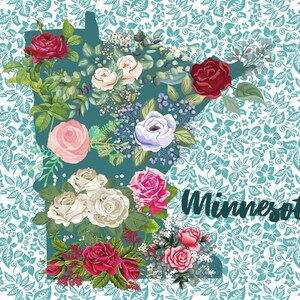 Bella cartolina del Minnesota