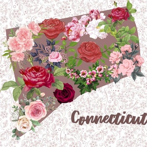 Carte postale du Connecticut, carte postale florale d’état de collection, cadeau pour le collecteur de carte postale, carte postale de fleur, postcrosser du New Jersey