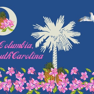 Cartão postal da Carolina do Sul de Columbia, lembrança da Carolina do Sul, saudações da Carolina do Sul, cartão postal colecionável da capital do estado