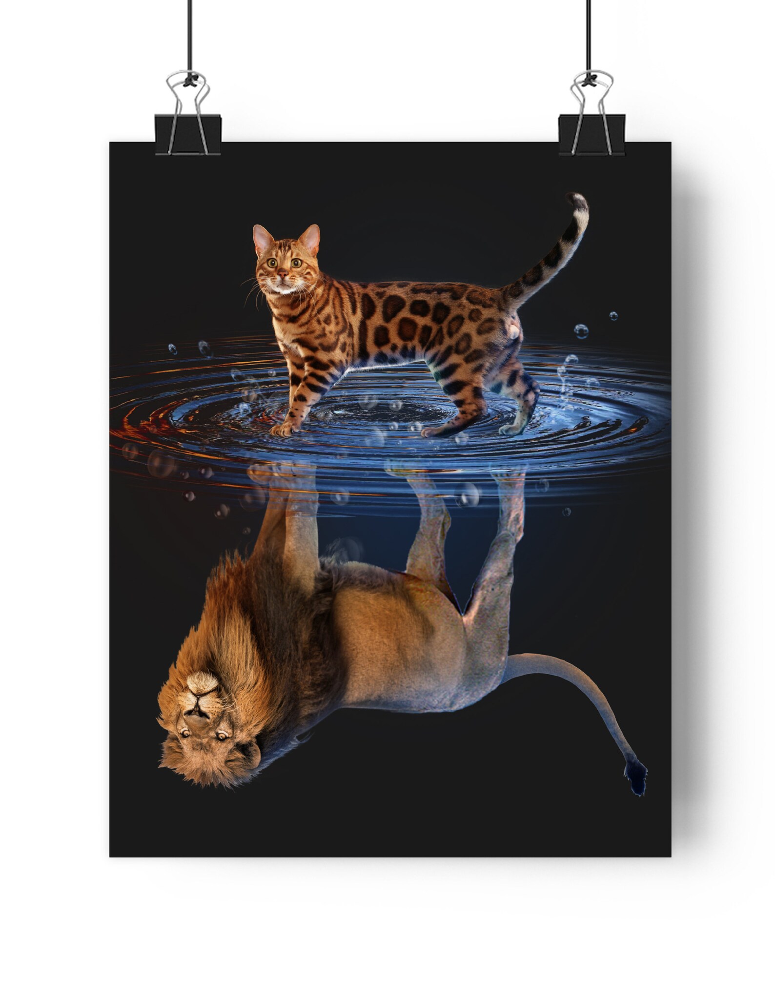 Bengal Cat Reflection Lion Cat Reflection Lion Cat vs Lion Etsy