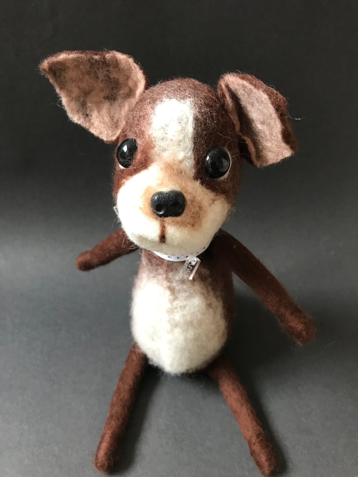 frenchie teddy