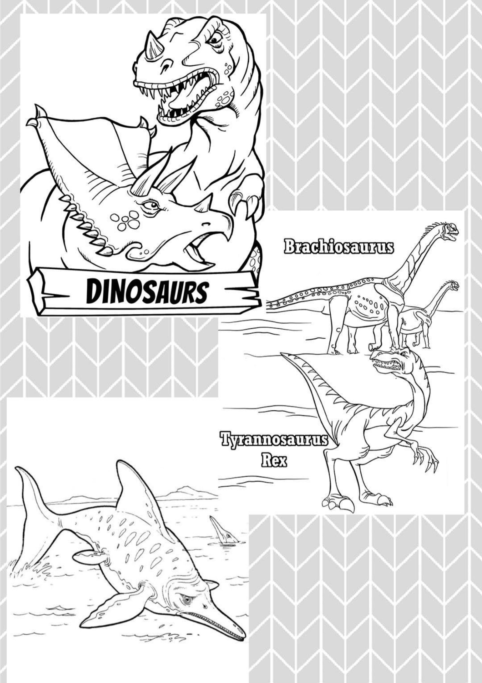 Pages de coloriage de dinosaures pour enfants  Etsy