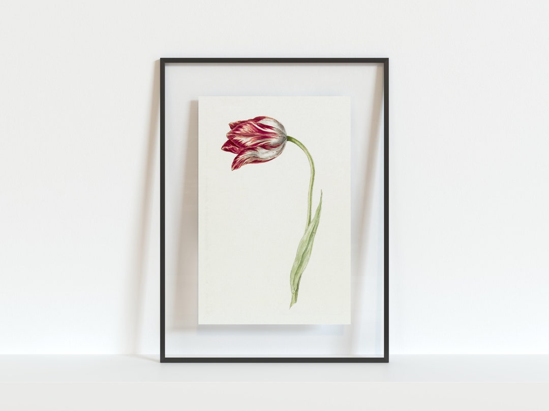 Tulip Art Red Tulip Art Tulip Art Print Tulip Wall Art Etsy