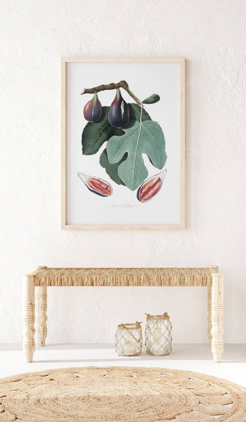Fig Art Figs Art Fig Leaf Art Fig Art Print Fig Leaf Art Etsy UK
