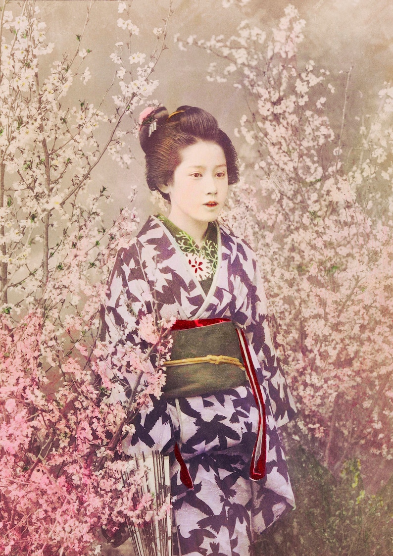 Geisha Art Print, Geisha Photo, Japanese Art Print, Japanese Wall Art, Japa...