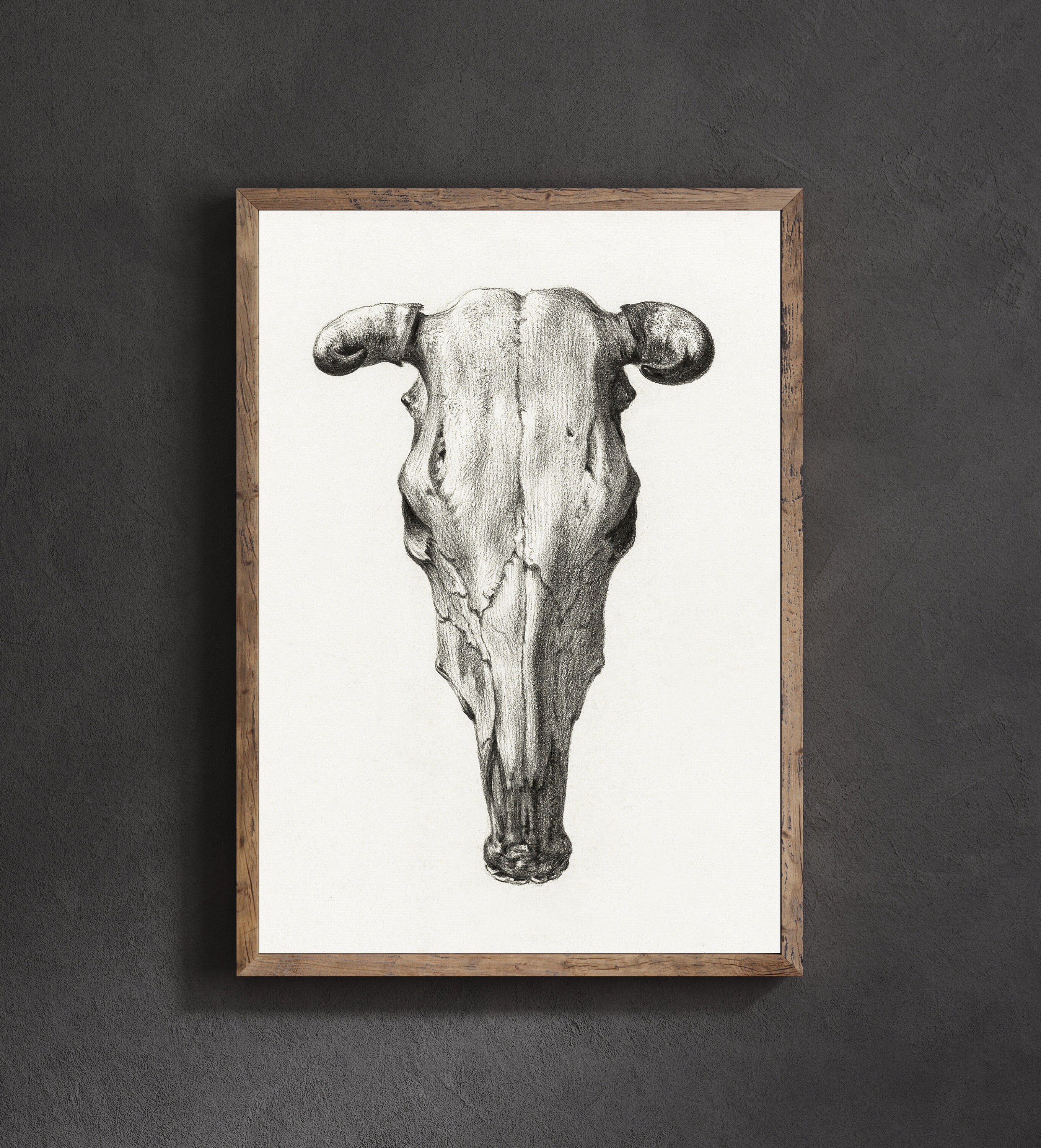 Cow Skull Art Print Cow Skull Wall Art Animal Skull Art Etsy UK