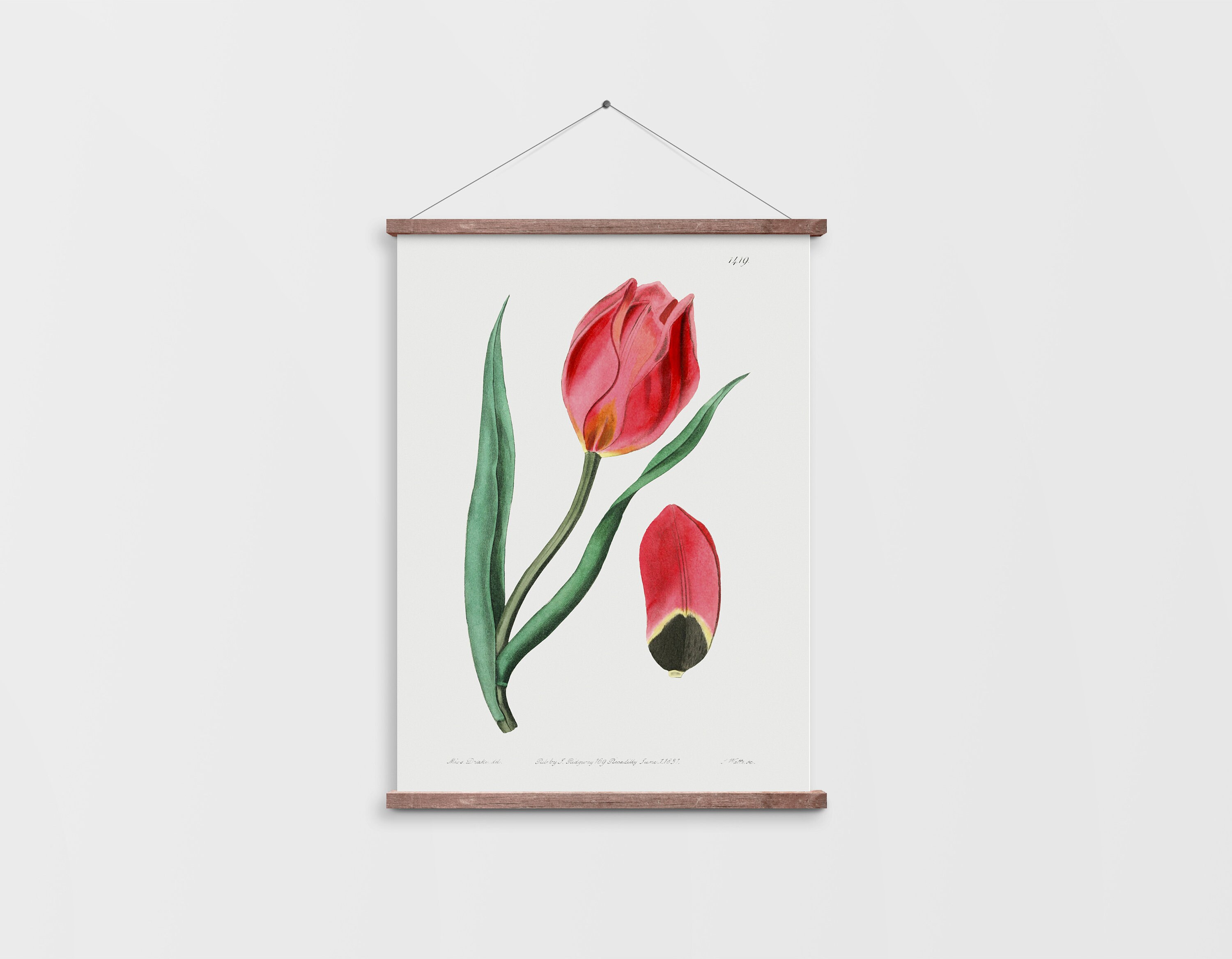 Tulip Art Print Red Tulip Wall Art Pink Flower Art Print Etsy UK