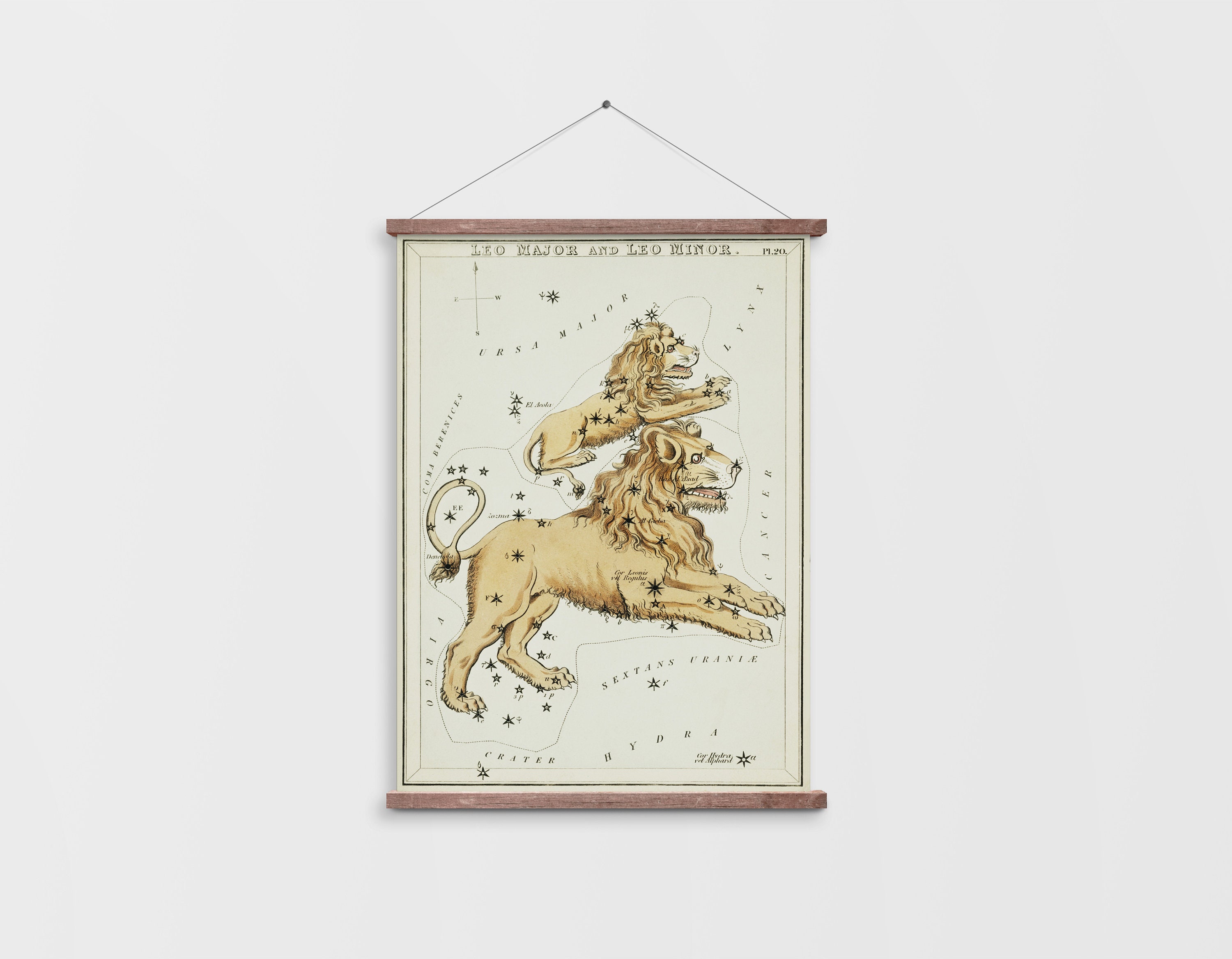 Leo Art Leo Star Sign Art Print Star Sign Gift Lion Art - Etsy