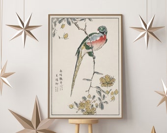 Japanese Bird Art Print, Macaw Art, Parrot Art, Parrot Print, Japanese Print, Vintage Japanese Wall Art, Asian Art, Blossom Art Woodblock