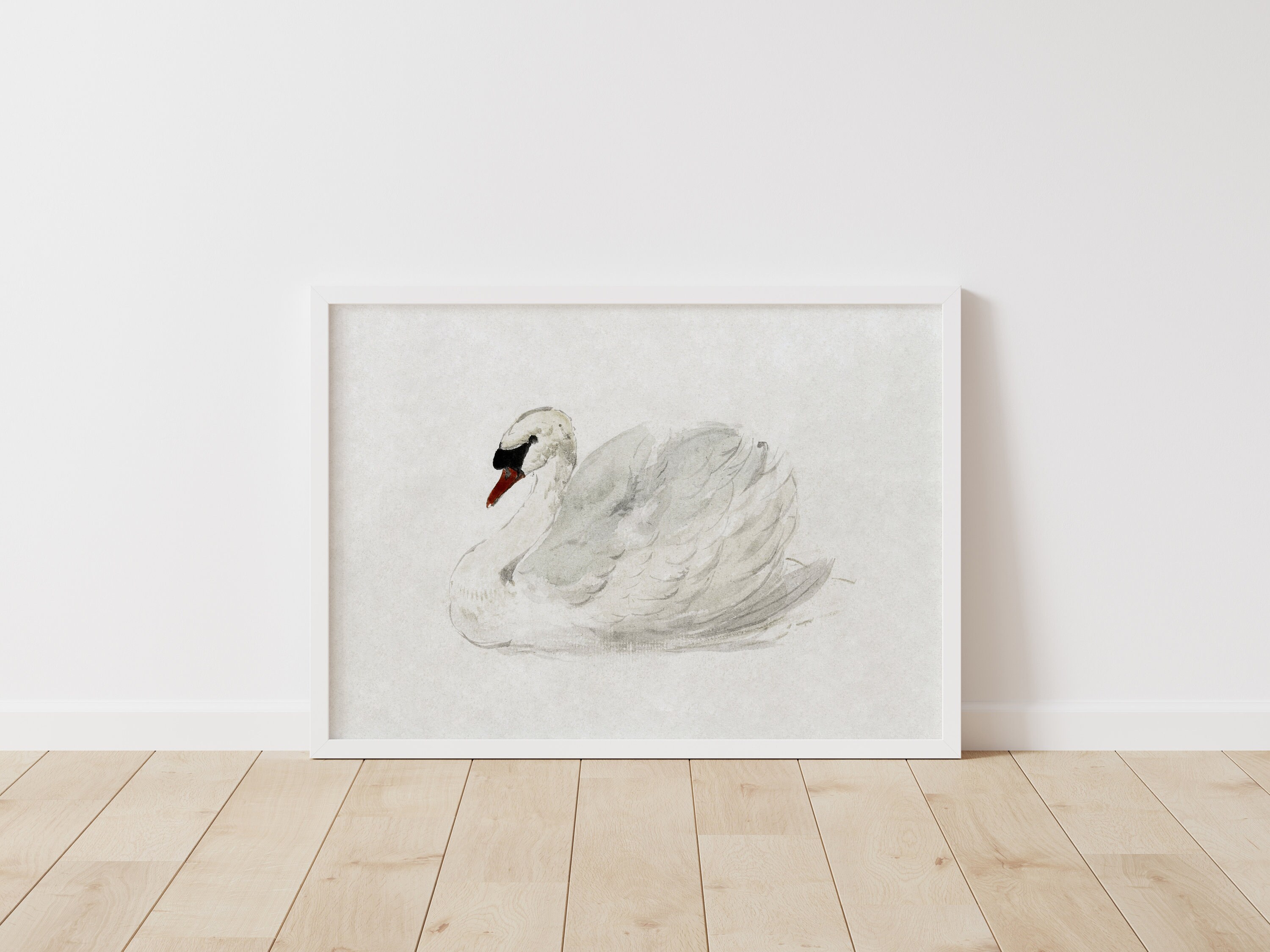 Swan Terrarium Art Print main image 0