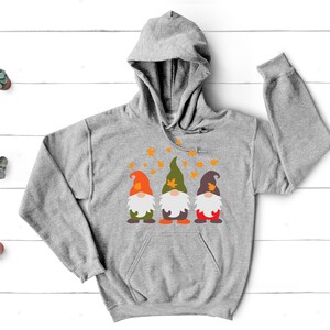May include: A gray hooded sweatshirt with a design of three gnomes wearing hats with leaves on them. The gnomes are standing in front of a white background with orange leaves falling around them.