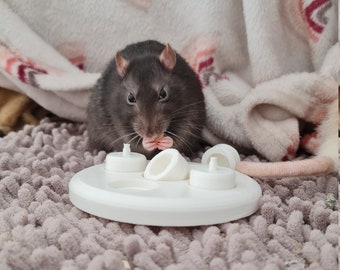 Rat puzzle cup toy, foraging toy for rats