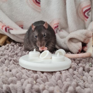 Rat puzzle cup toy, foraging toy for rats