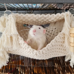 Rat hammock, macrame hammock, rat hammock set