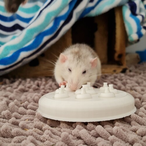 Mouse Puzzle Cup Toy Foraging Toy for Mice Etsy UK