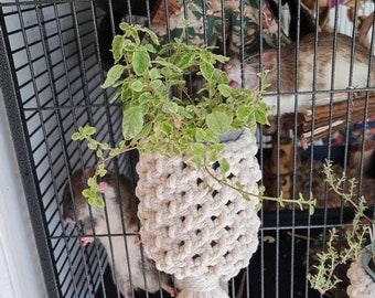 Rat herb pots, hanging macrame pots