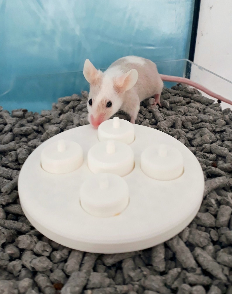 Mouse Puzzle Cup Toy Foraging Toy for Mice Etsy UK