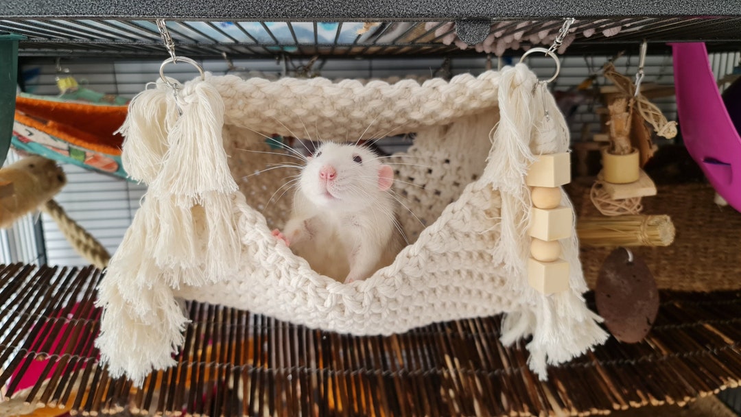 Hamak For Rats Rat Hammock, Macrame Hammock, Rat Hammock Set - Etsy