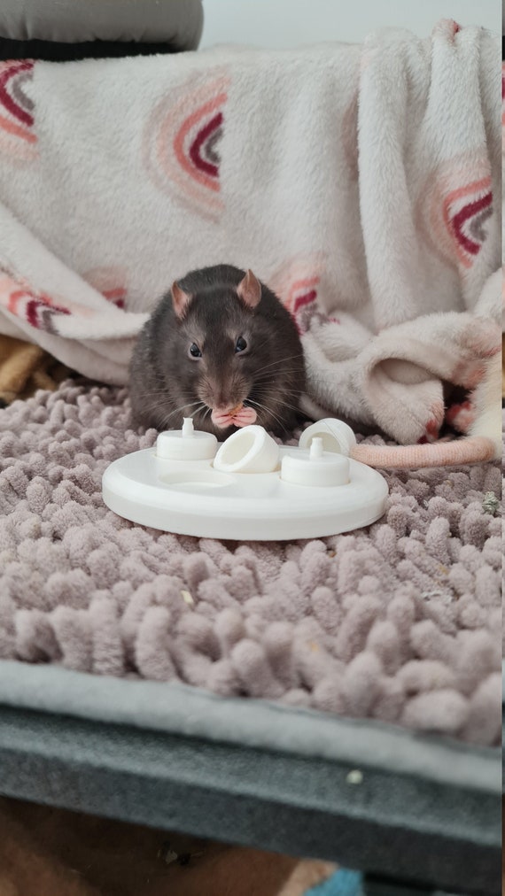 Foraging toys for mice discount
