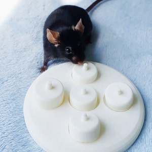 Mouse puzzle cup toy, foraging toy for mice