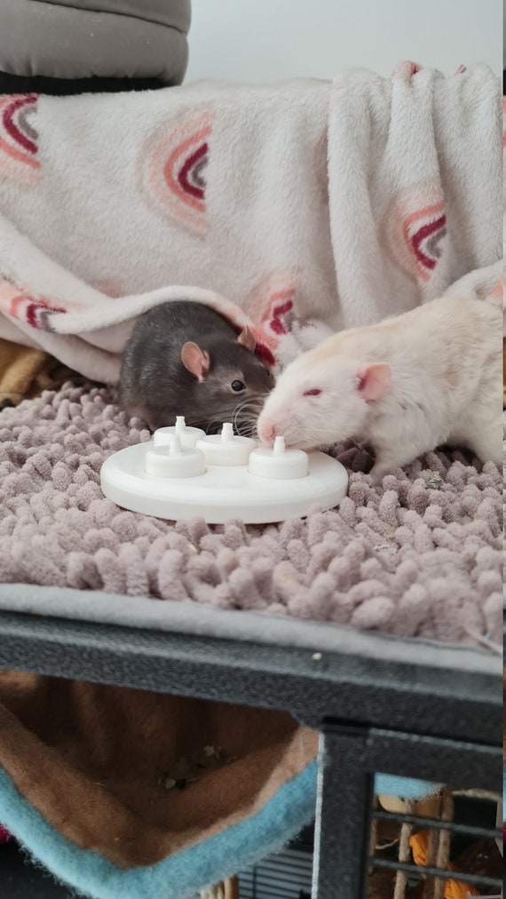 Rat Puzzle Cup Toy, Foraging Toy for Rats 