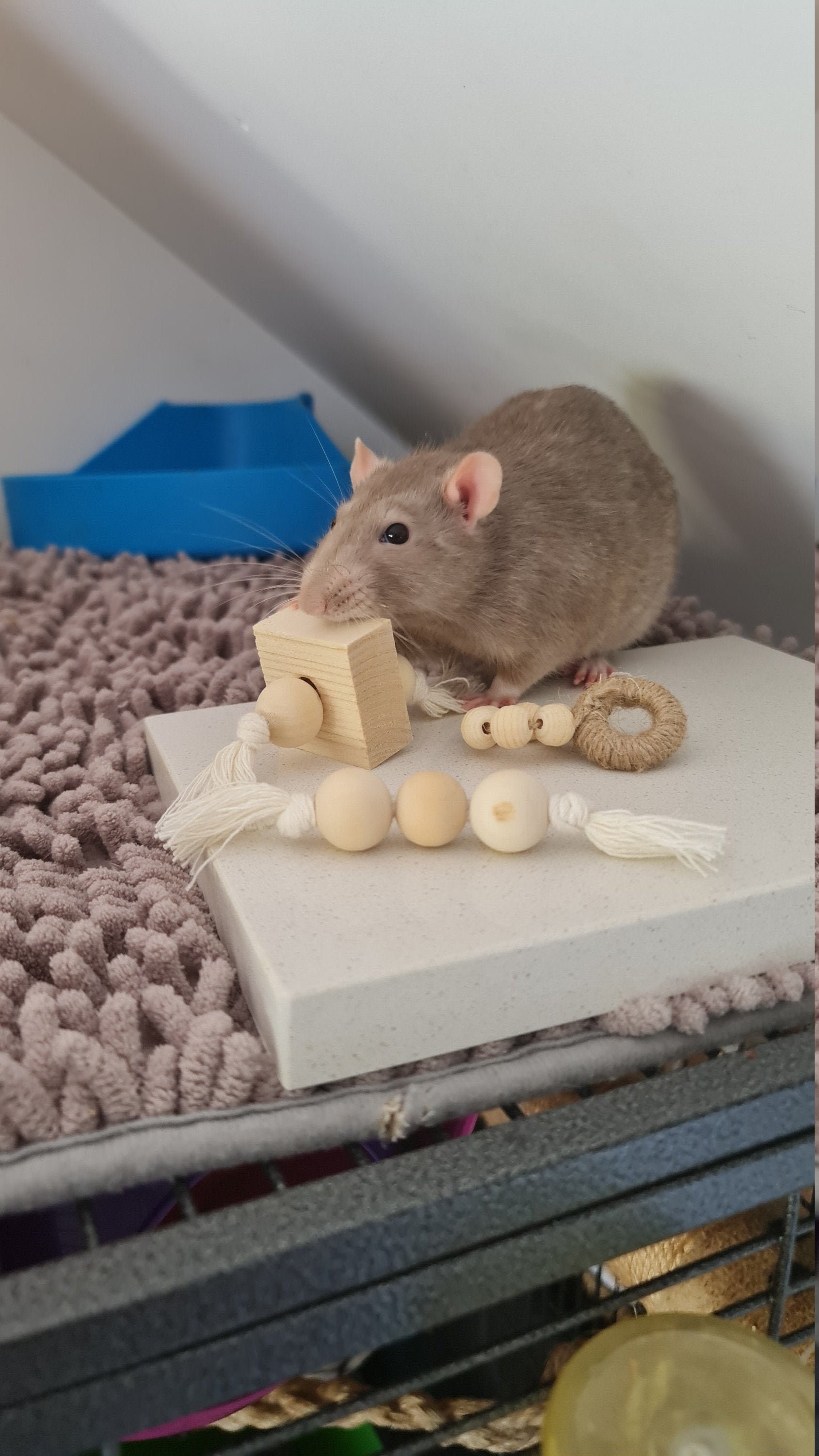 Rat chew toy set foraging toy chew toys Etsy