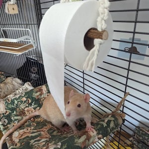 Rat toilet roll holder, macrame toilet roll holder