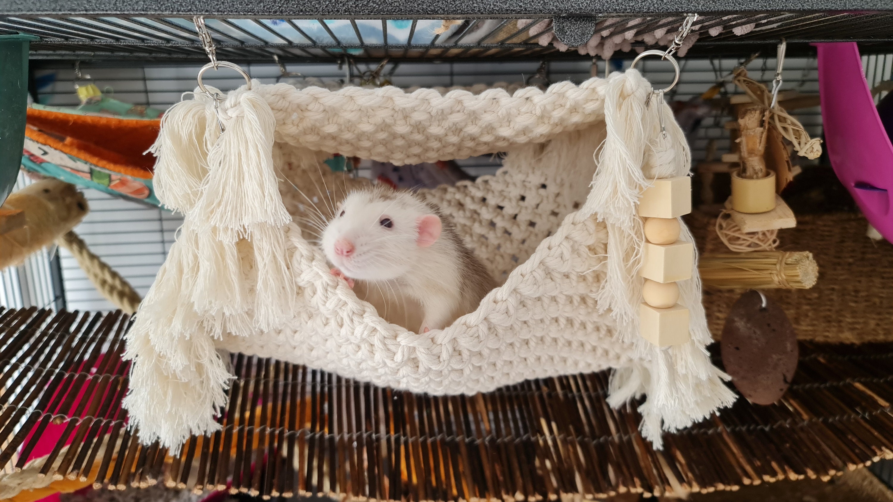 Rat Hammock Macrame Hammock Rat Hammock Set Etsy