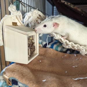Rat puzzle toy, rat treat box, rat enrichment