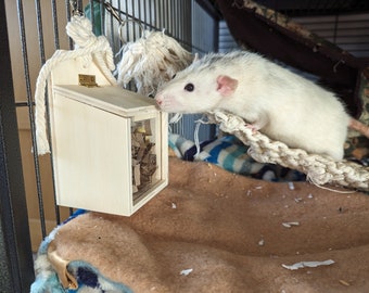 Rat puzzle toy, rat treat box, rat enrichment