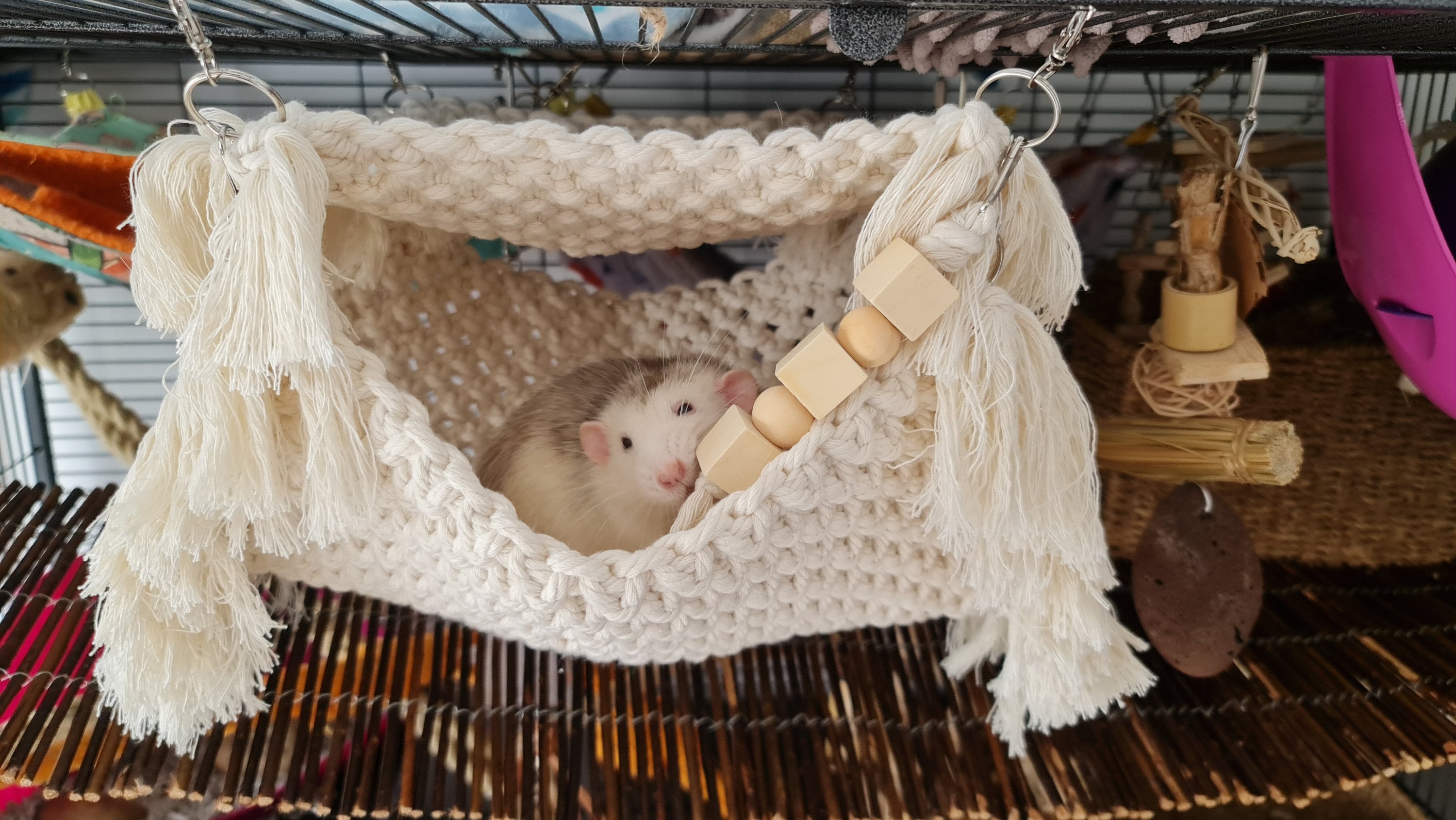 Rat Hammock Macrame Hammock Rat Hammock Set Etsy UK