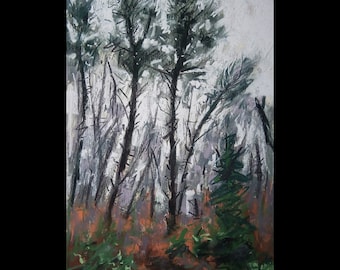 Moody Light - Ireland Co. Waterford Minaun Hill - Original Soft Pastell Gemälde 10,5x6,5"