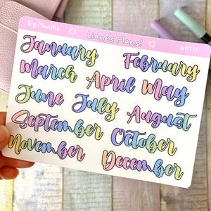 Può includere: Un foglio di adesivi per planner con i mesi dell'anno in un carattere arcobaleno. Gli adesivi sono etichettati "Big Months" e "Liane's Plans!"
