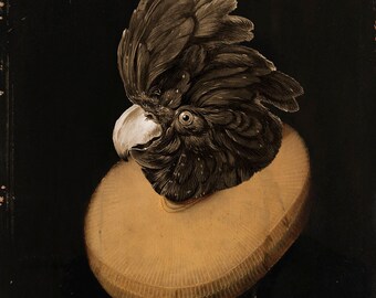 Könnte beinhalten: Ein Schwarzweißporträt eines Kakadus, der einen großen, gekräuselten, cremefarbenen Kragen trägt. Der Kopf des Vogels ist zur Seite geneigt, und seine Augen schauen direkt auf den Betrachter. Der Hintergrund ist eine dunkle, strukturierte Oberfläche.