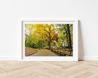 Central Park Photography Landscape Digital Download New York City Print Central Park Wall Decor Downloadable Art Prints Autumn Original Art
