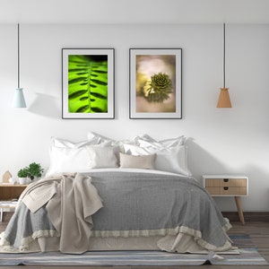 Set of Two Delight Botanical Photography Eclectic Wall Art Nature Photography Plant Wall Art Instant Print at Home Wall Decor Art